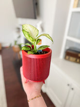 Load image into Gallery viewer, Locally Made 3D Printed Pot With Plant