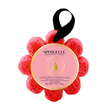 Load image into Gallery viewer, Spongelle' Soap Infused Body Buffer