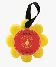 Load image into Gallery viewer, Spongelle' Soap Infused Body Buffer